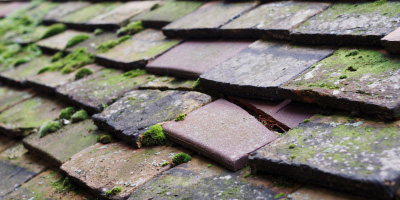 Ridgeway roof repair costs